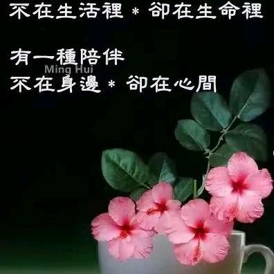 🐉🐉🐉
