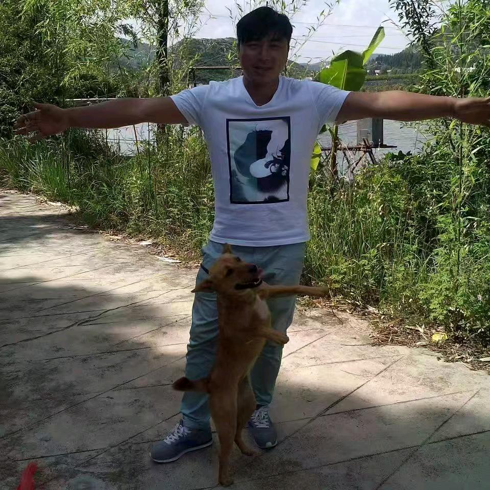 云南 老友