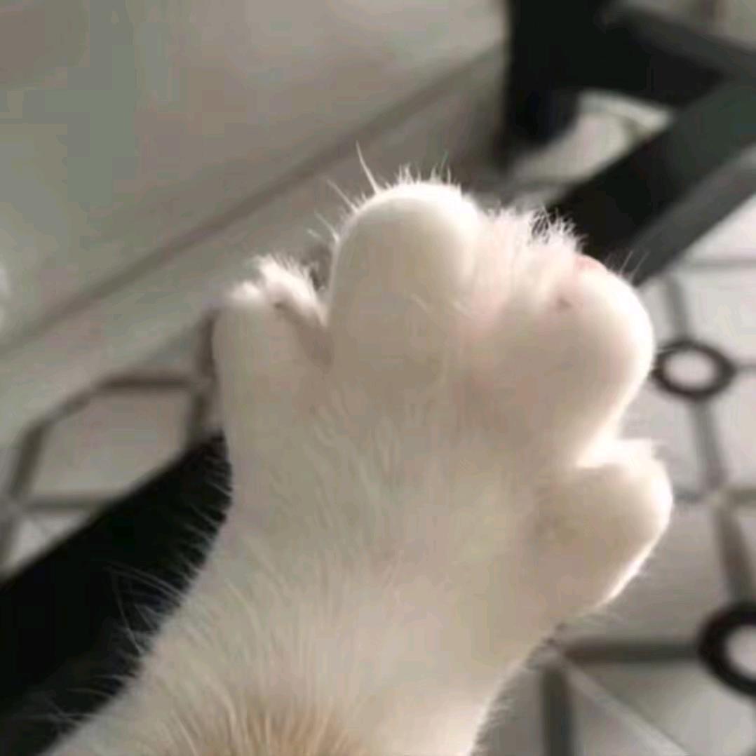 安心