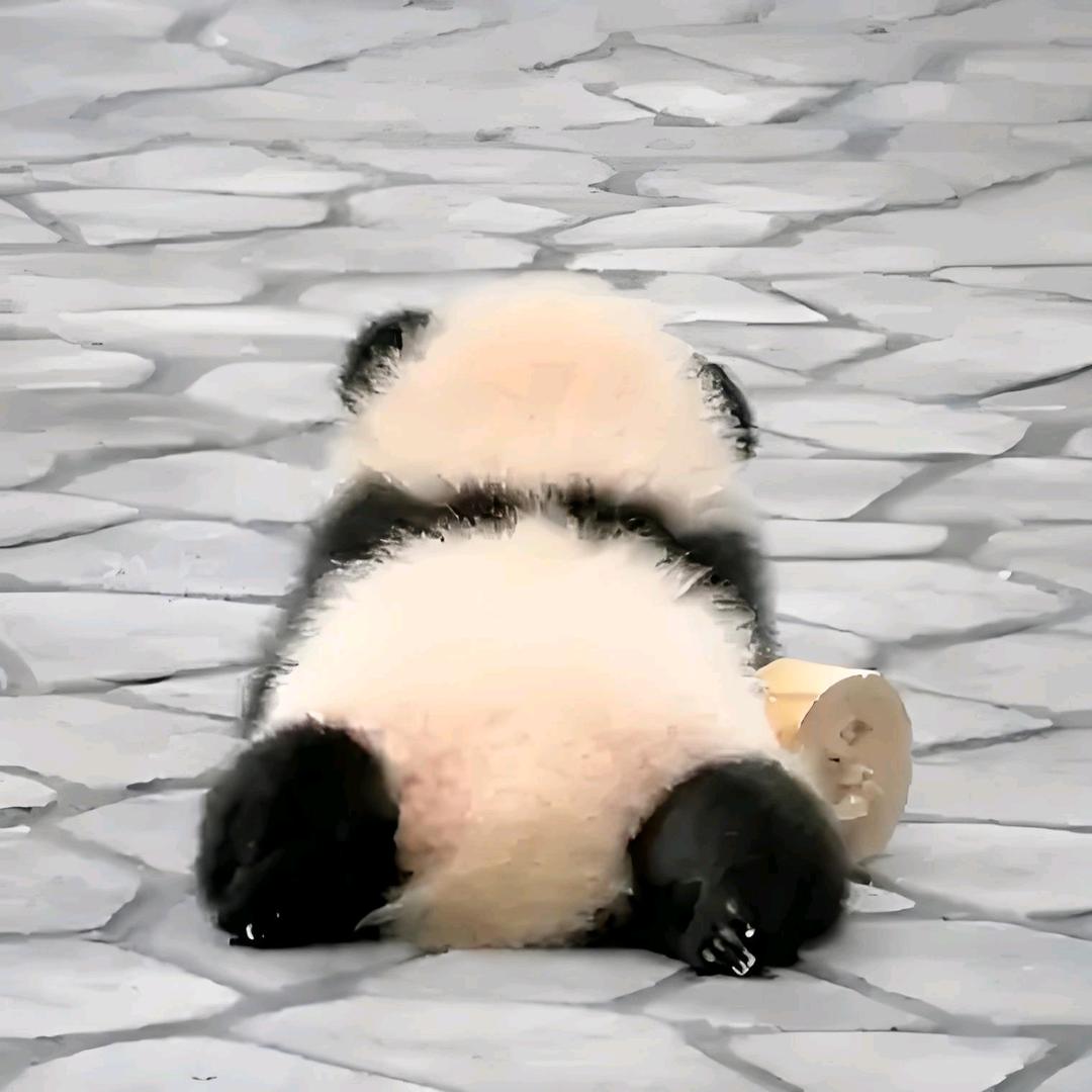 念_词穷