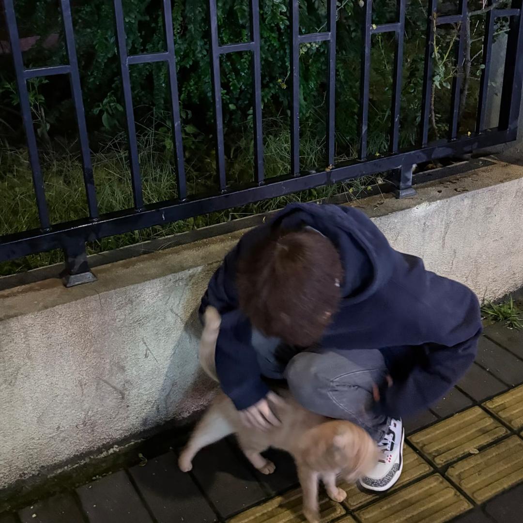 ⚔️🇨🇳7⃣️