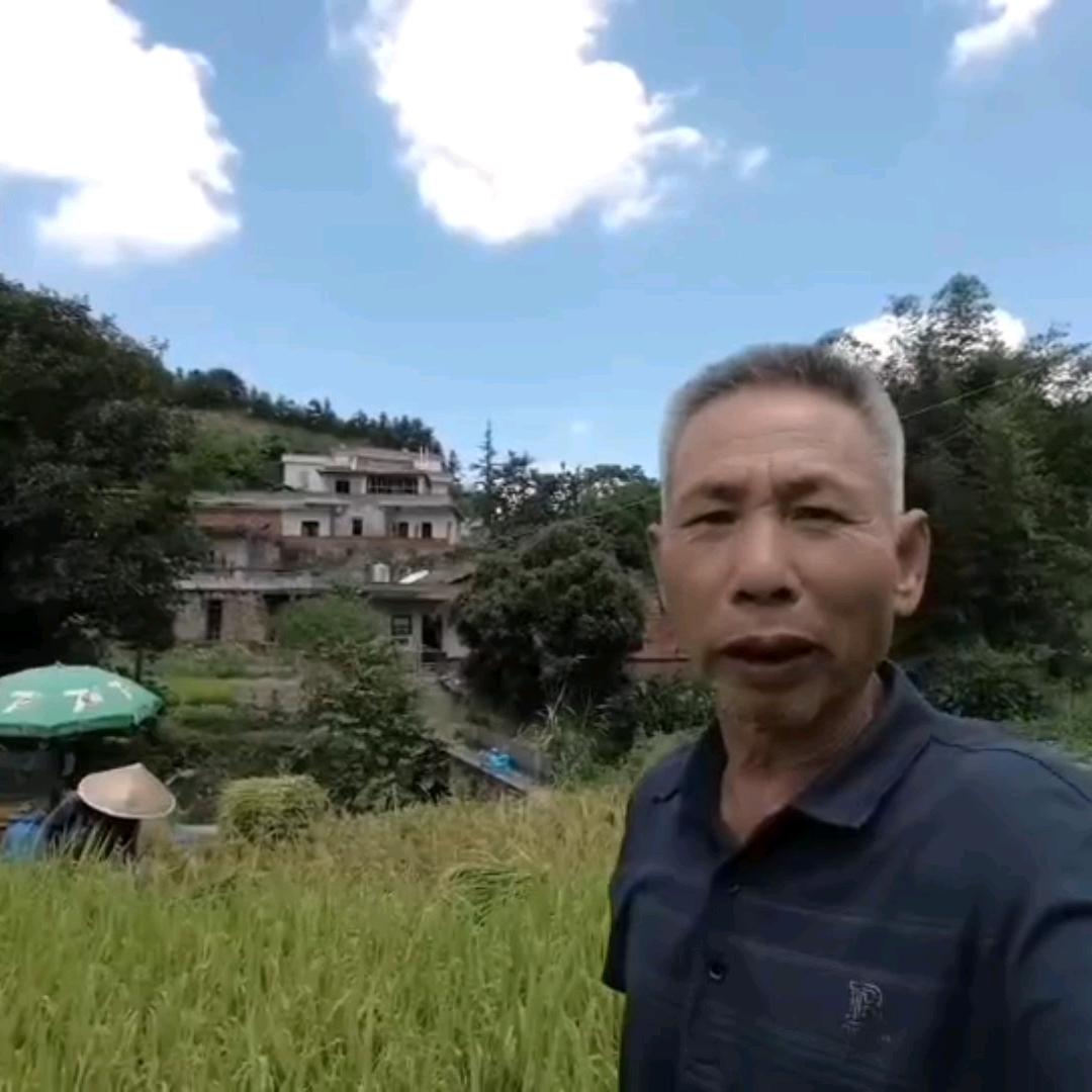 乡村老罗