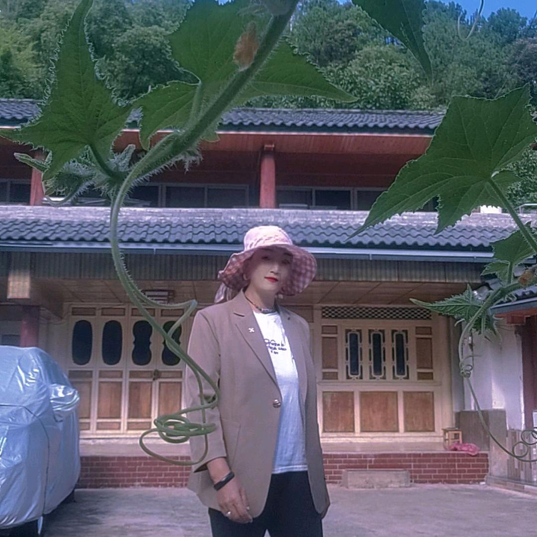 和玫瑰