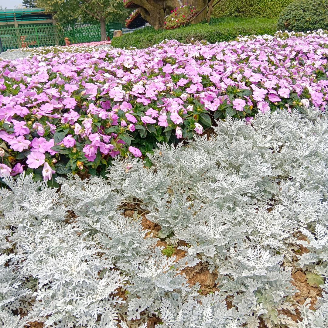 💞ℒᎭℯ⃝涵ᩚᮨ