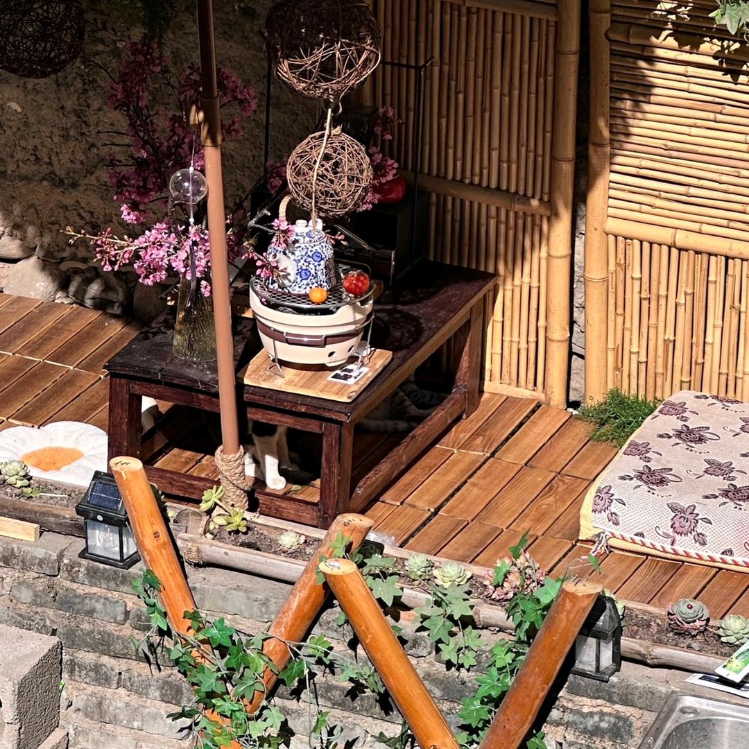 🌙月亮玩游戏