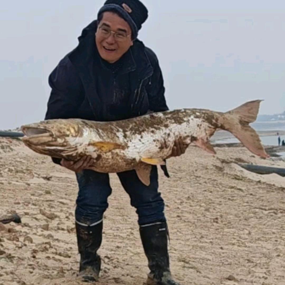 野钓翘嘴