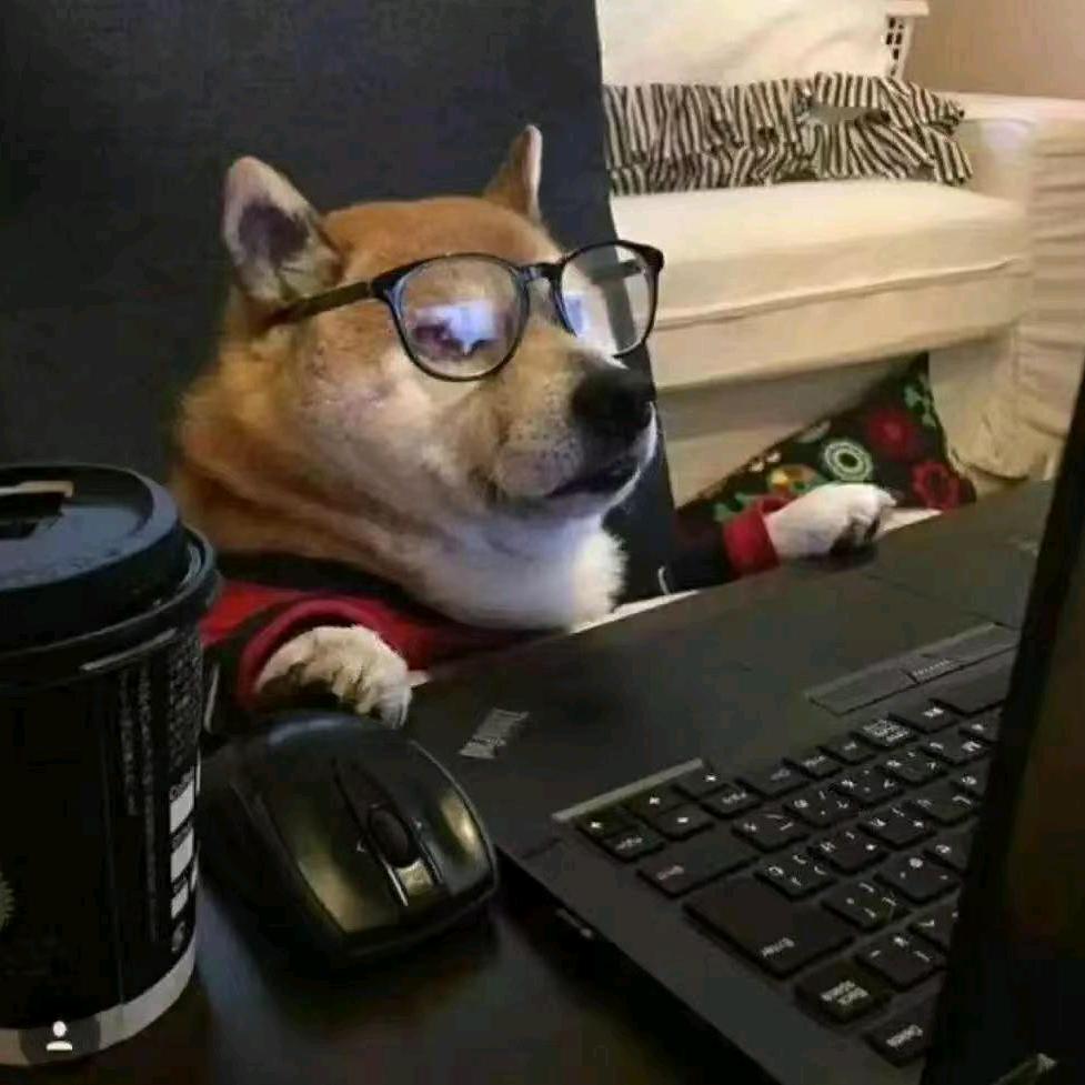 林木聚宝~很搞笑