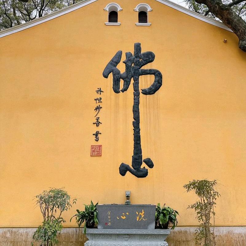 莎头(^.^)