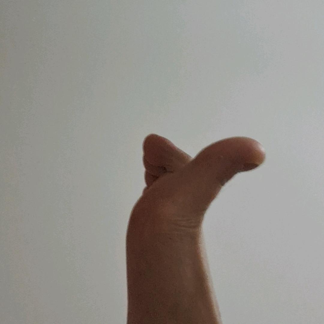 派大星丿