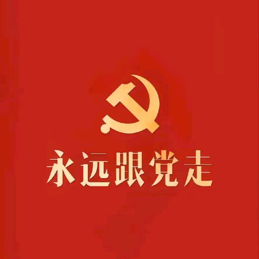 鲁J大队