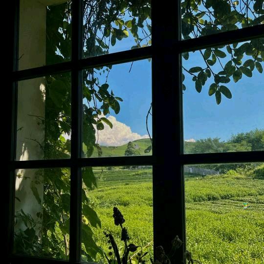 季夏妍.🍀