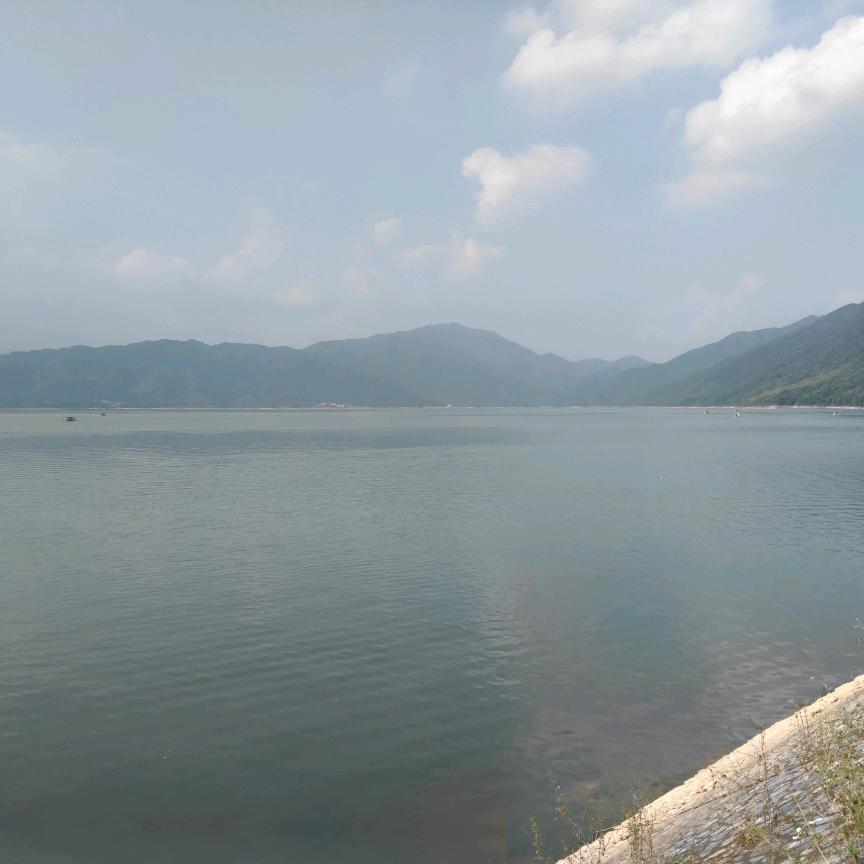 锄禾R耽误