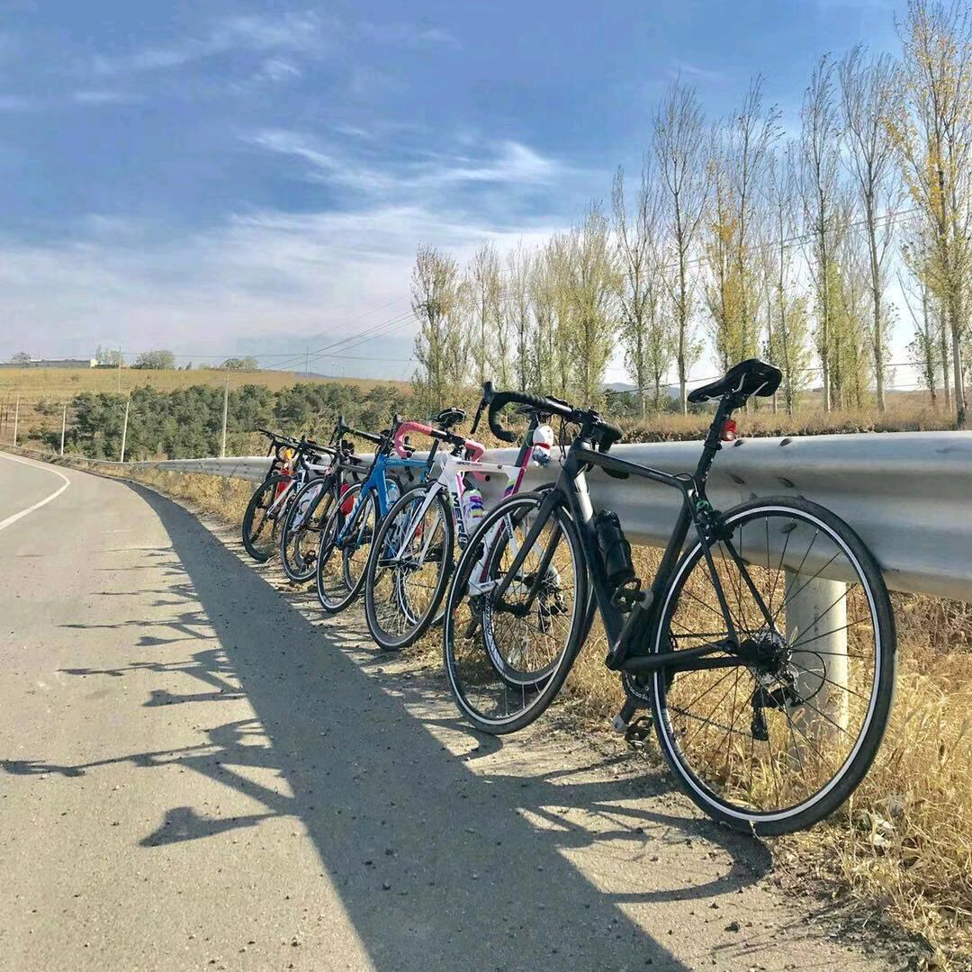 阜新图拉丁电脑