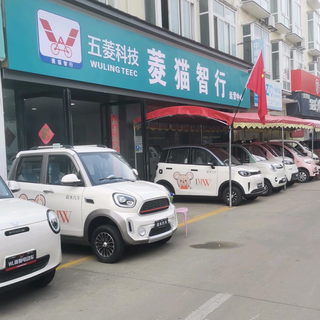 五菱菱猫   蔚米新能源南阳溧河物流园店
