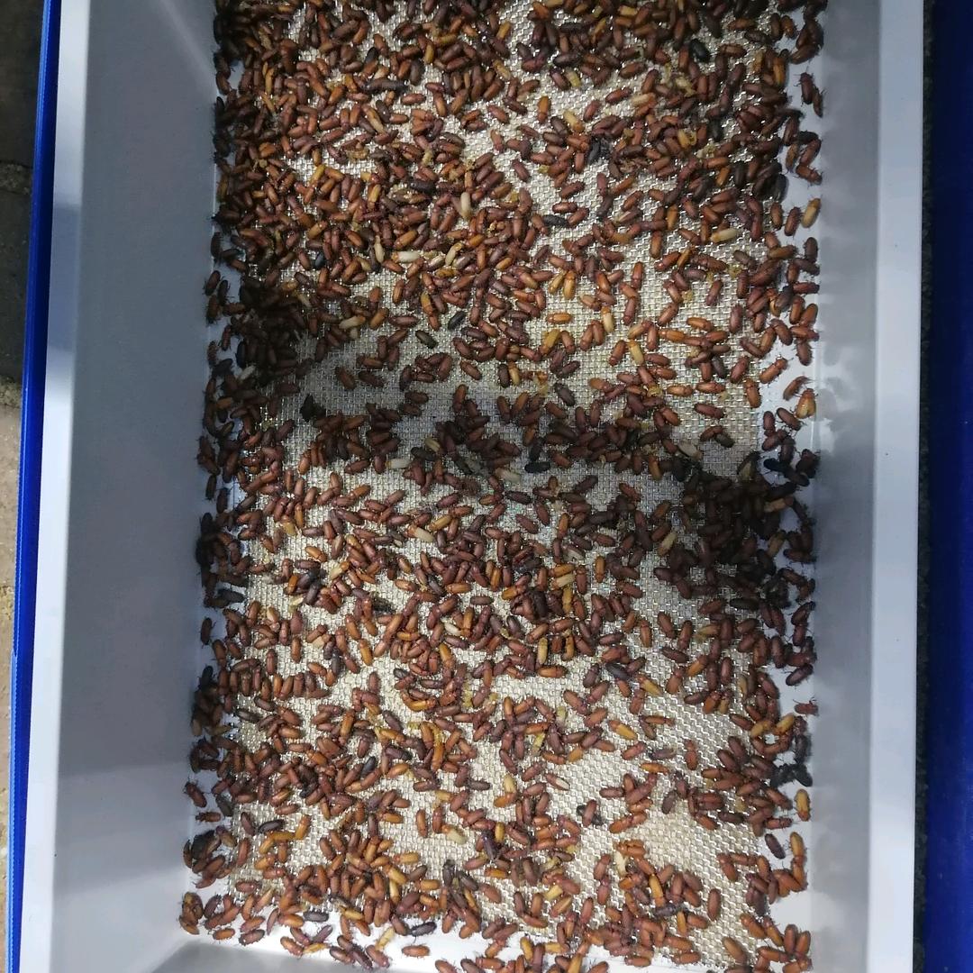 亦心优选好物坊