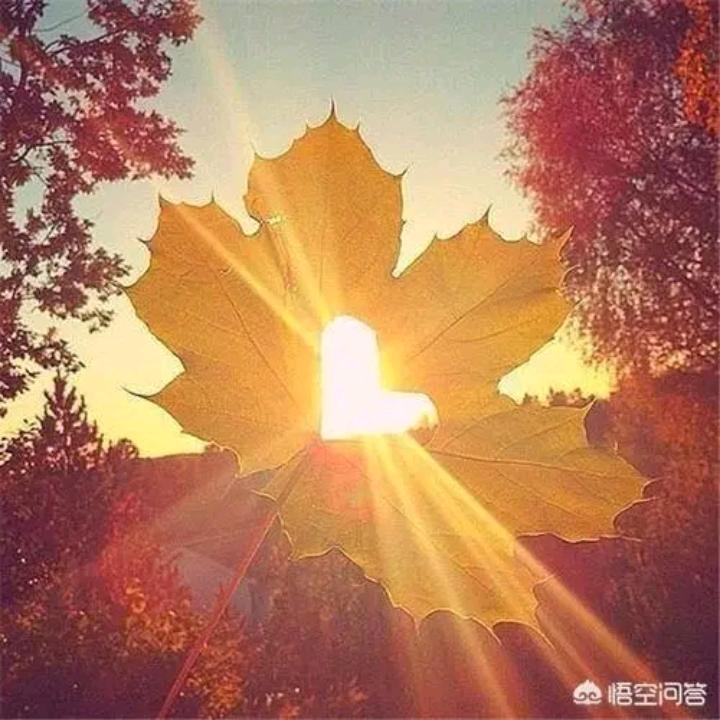 邻家百货小栈