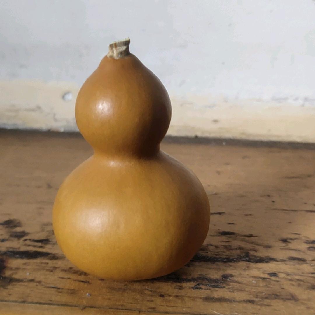 开心每一天