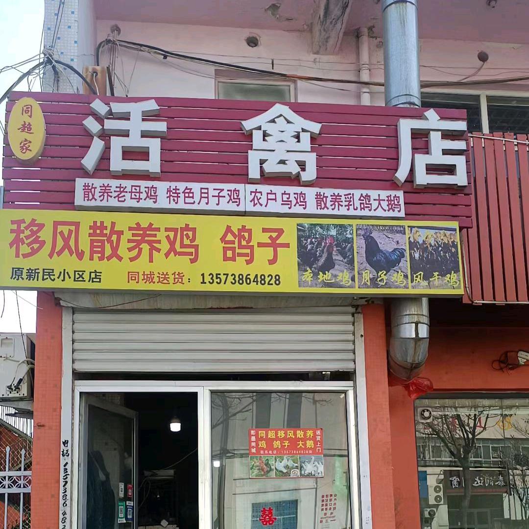 同超家活禽店