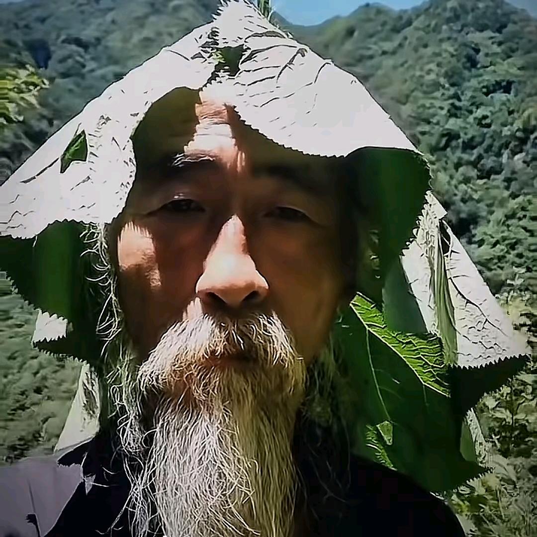 世间星辰不及你