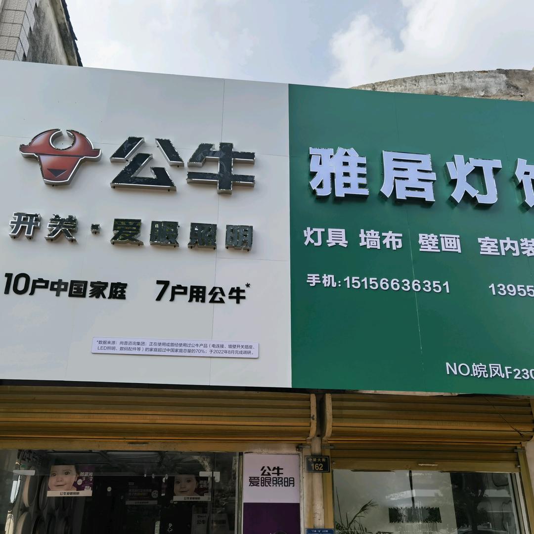 雅居灯饰（毛集店）