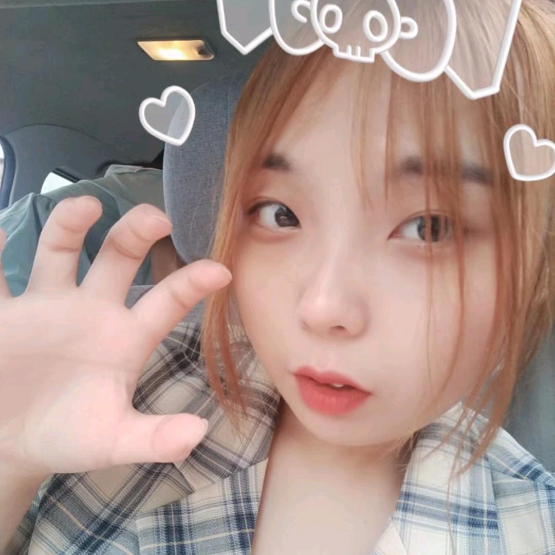 叶落舞星归凉城