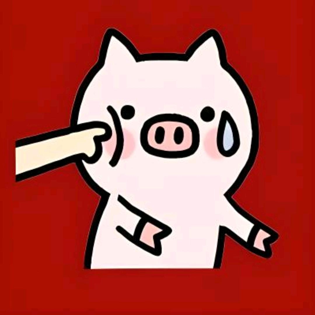 哈哈哈啦啦啦哦兔