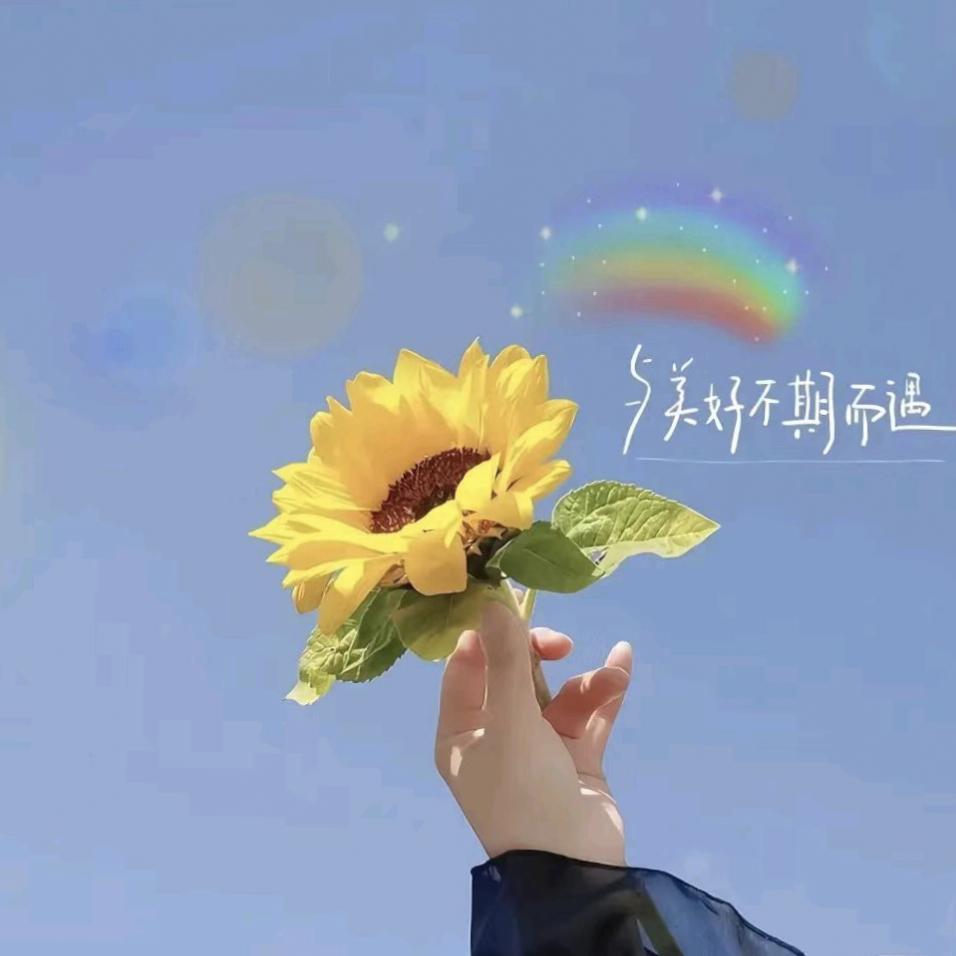 ✨♡᭄半夏o૮时光🍀