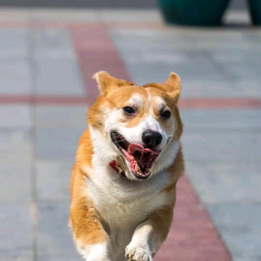 江苏彭于晏（青云决2仙境）
