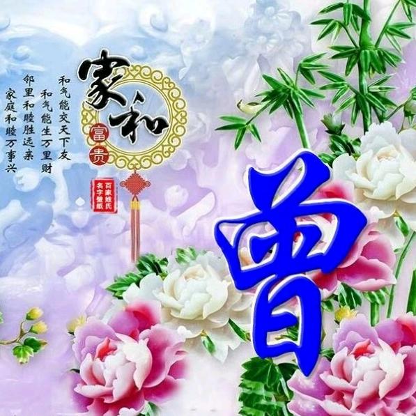 淡忘过往