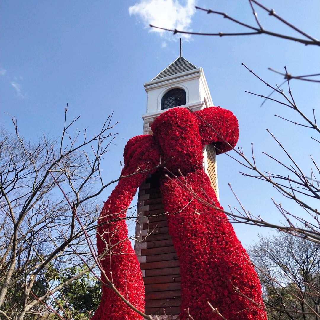 中医传播（互关互助）