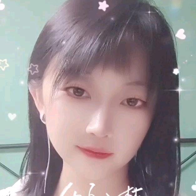 星空下的🐱猫