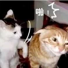 西瓜汁