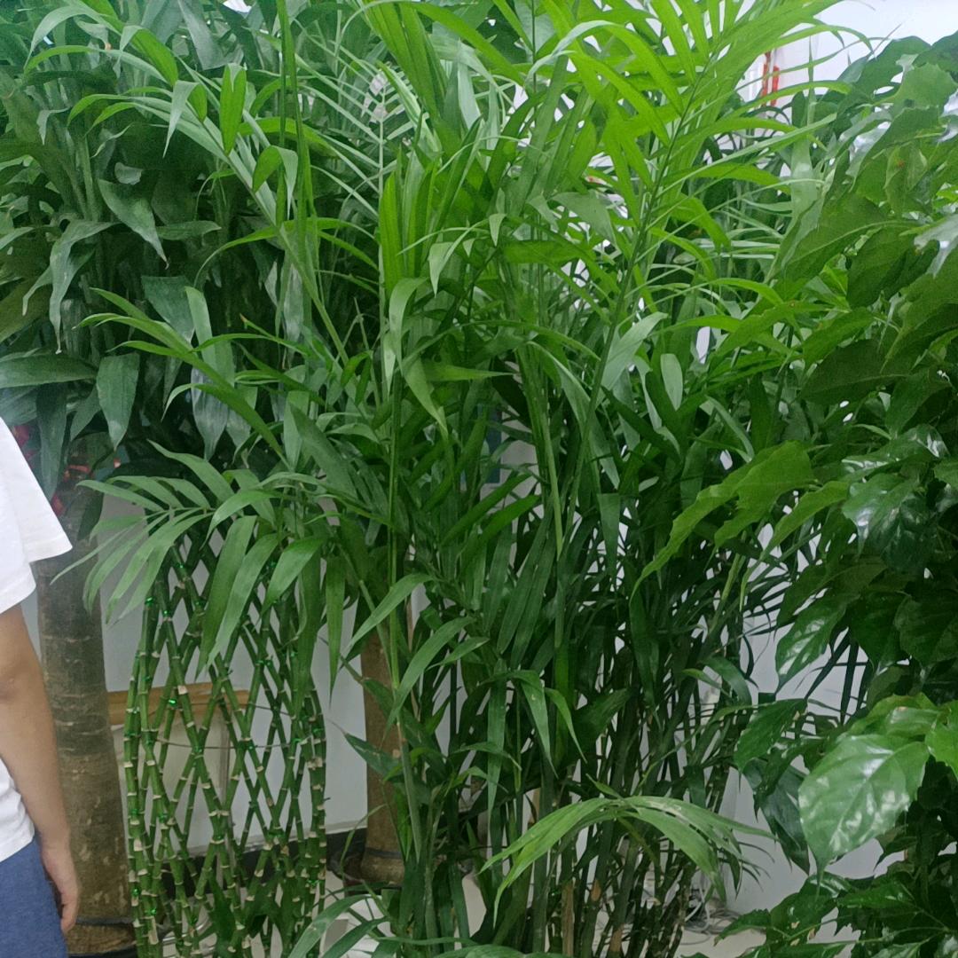 (๑ơ ₃ ơ)♥妍