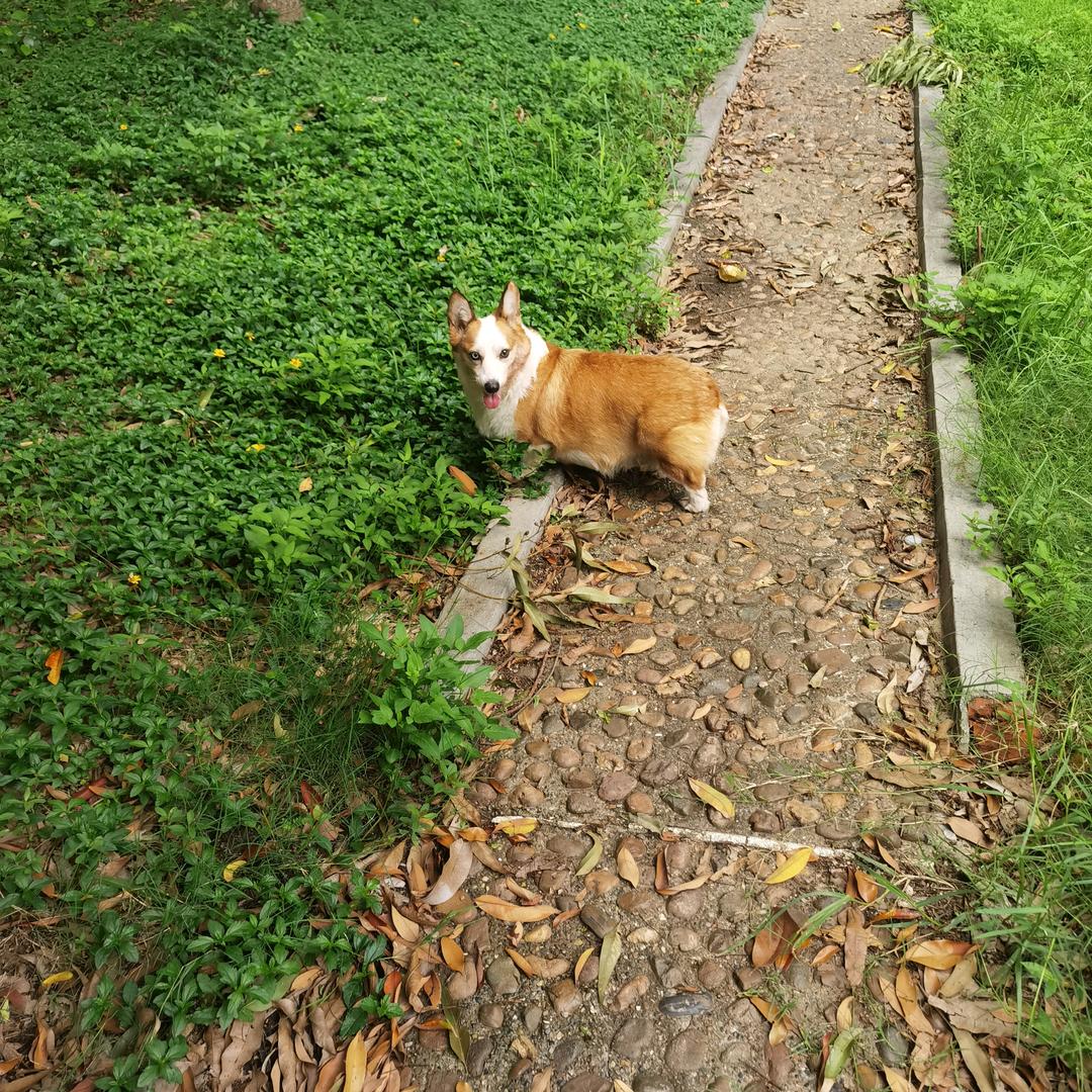 回力·OUZE(兴宁店)专用号