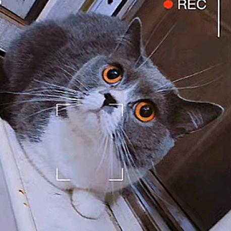 玺 胖胖🐱