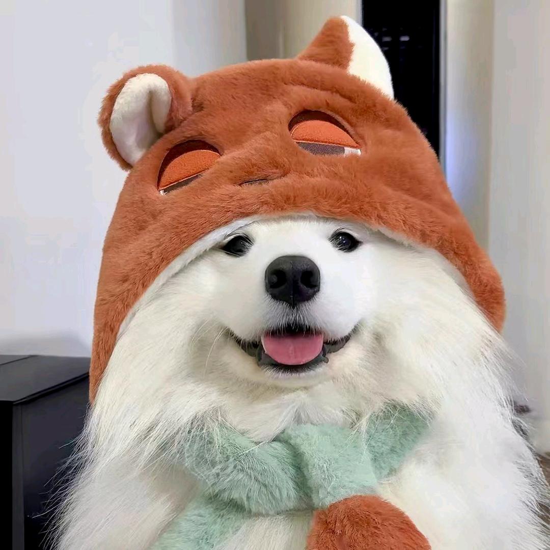 美羊羊🐑