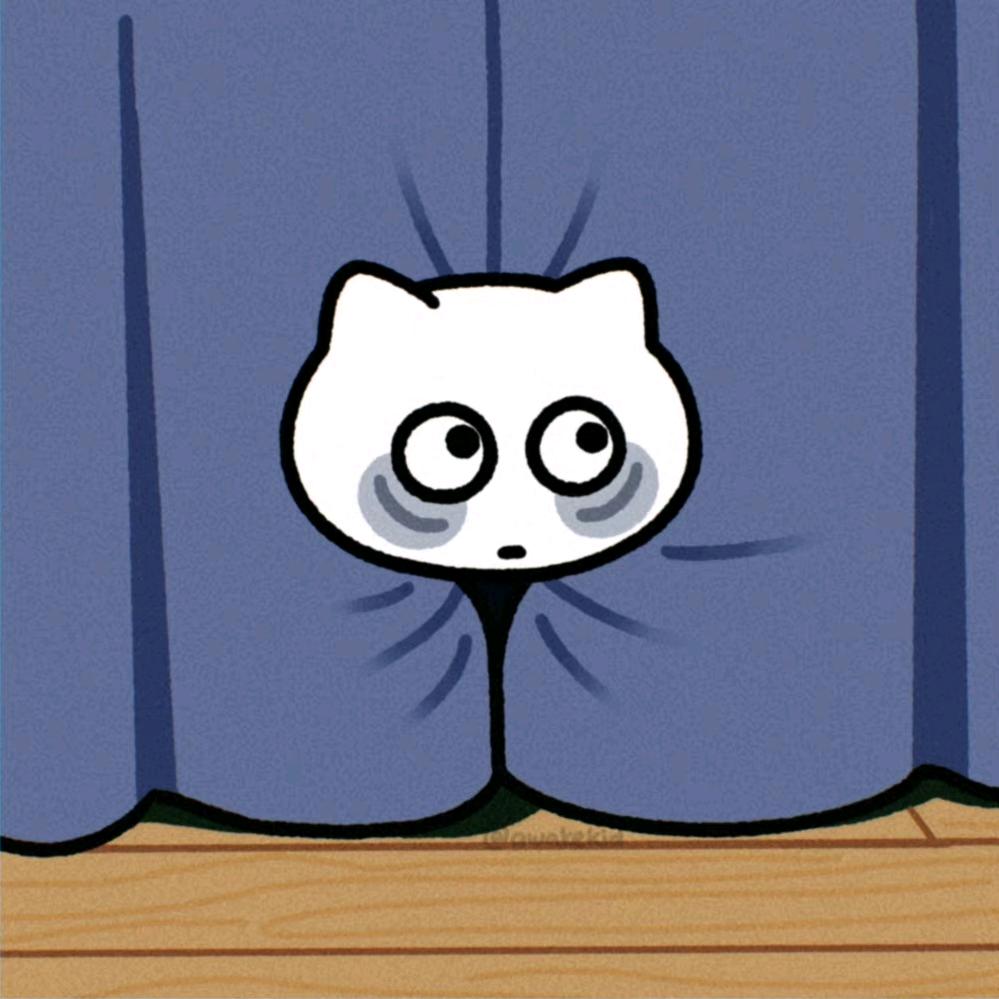 几碗zz