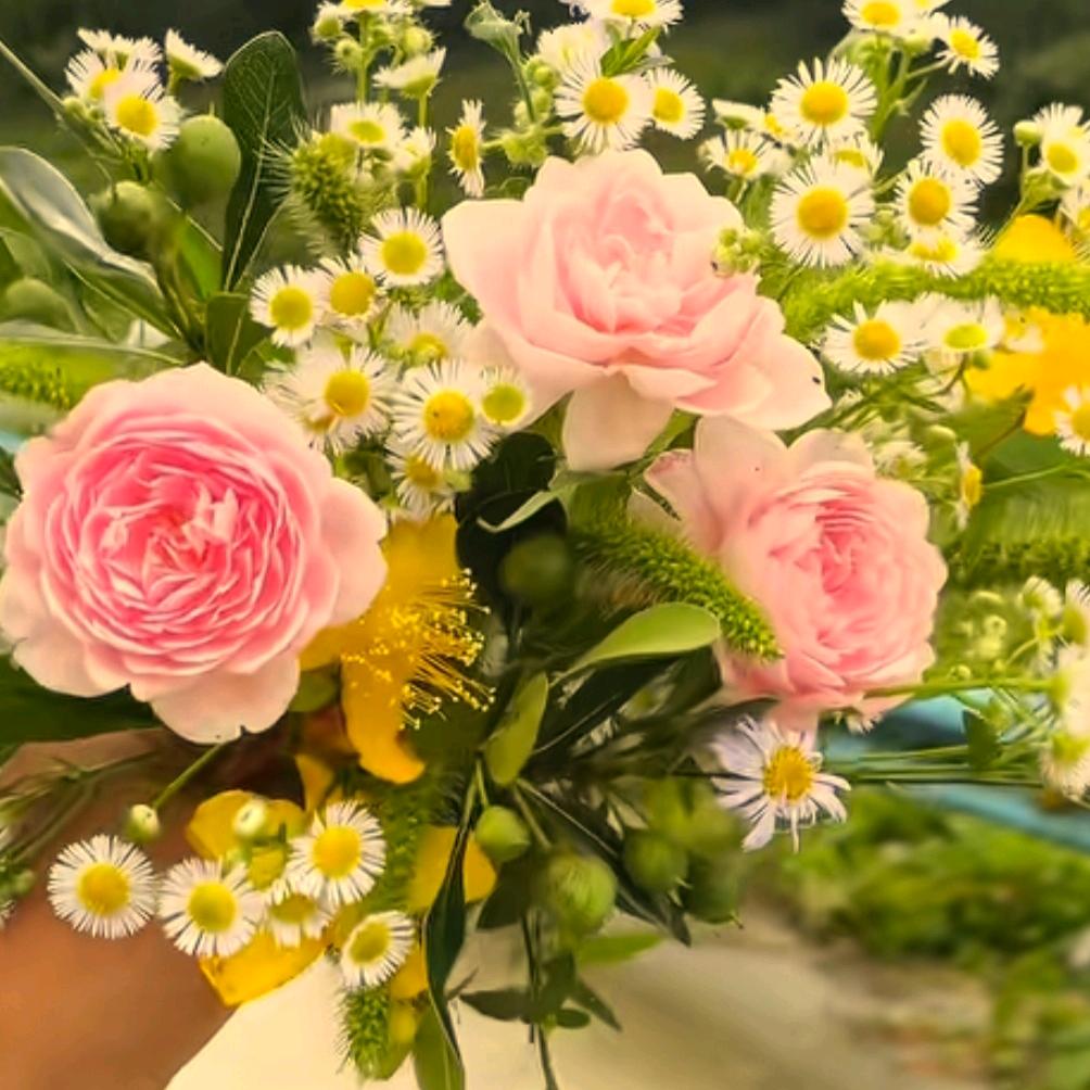 ꧁¹³爱意💞¹⁴随风₅₂ₒ᭄࿐