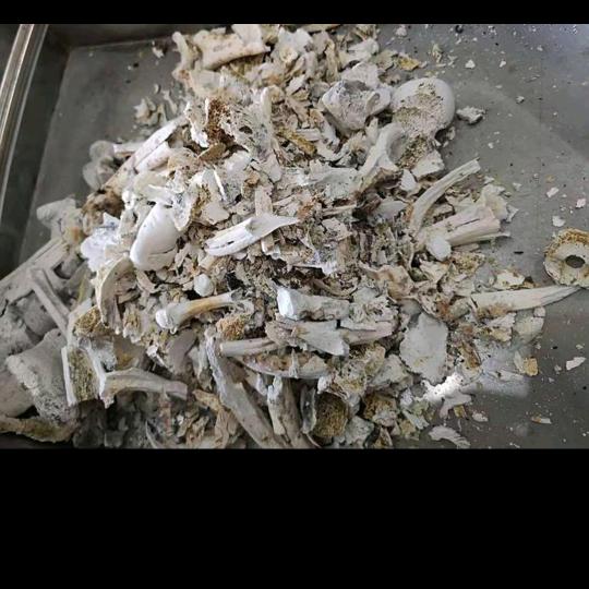 做人对自己一定要狠