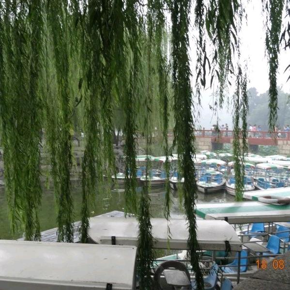诺缘