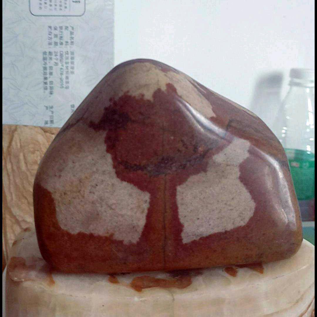 水木森林