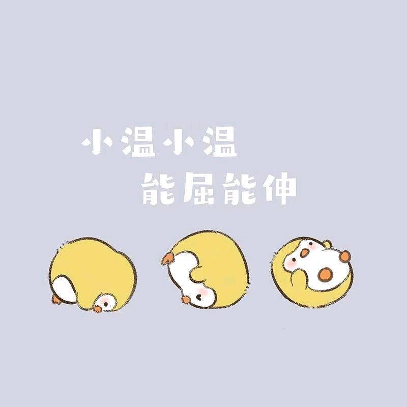 小温 Z