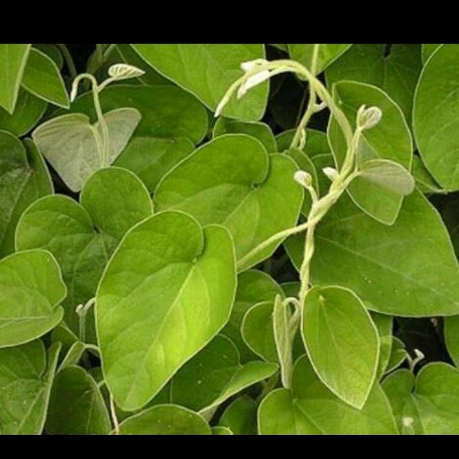 开心过好每一天