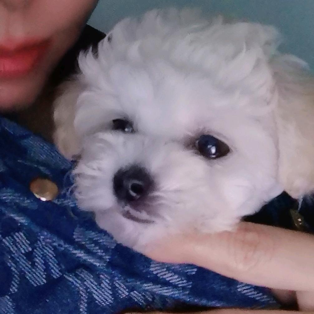 👧🏻小彭要开心🍰