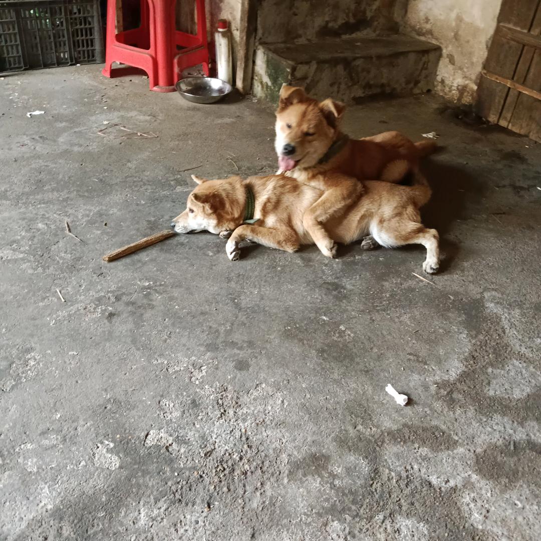 飞鸟与鱼不同路