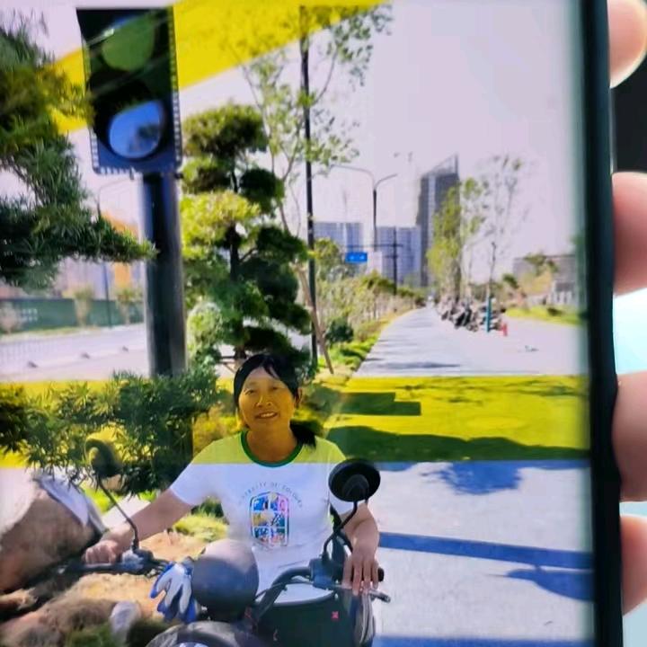 小鸟依人
