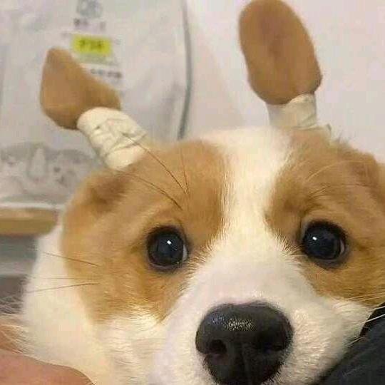 代运营 趣无限～