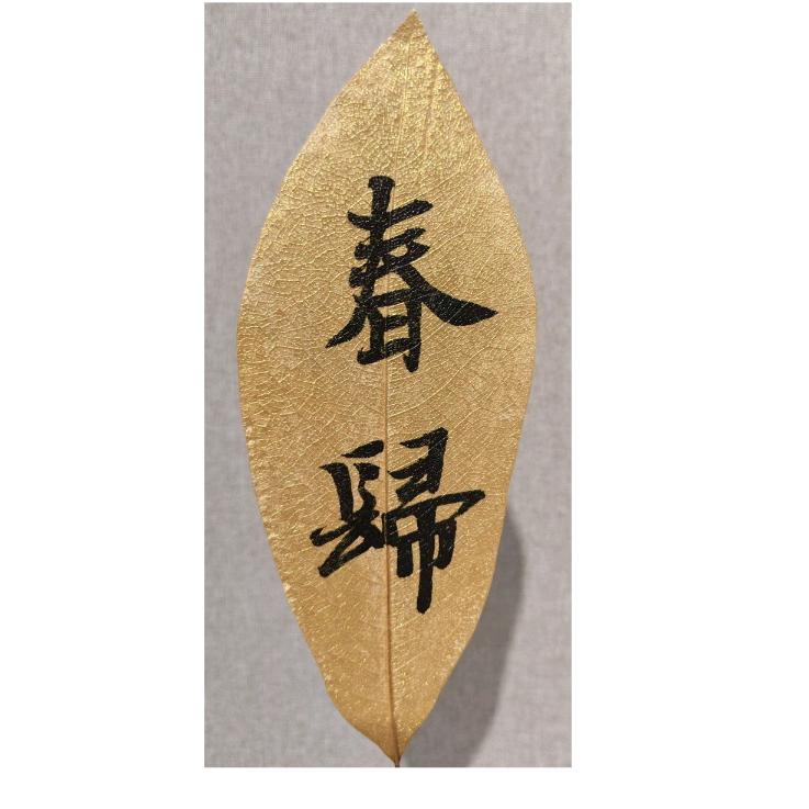 叶叶解忧