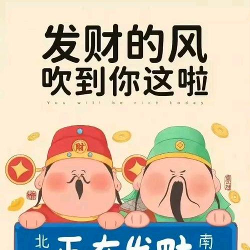 小牛牛