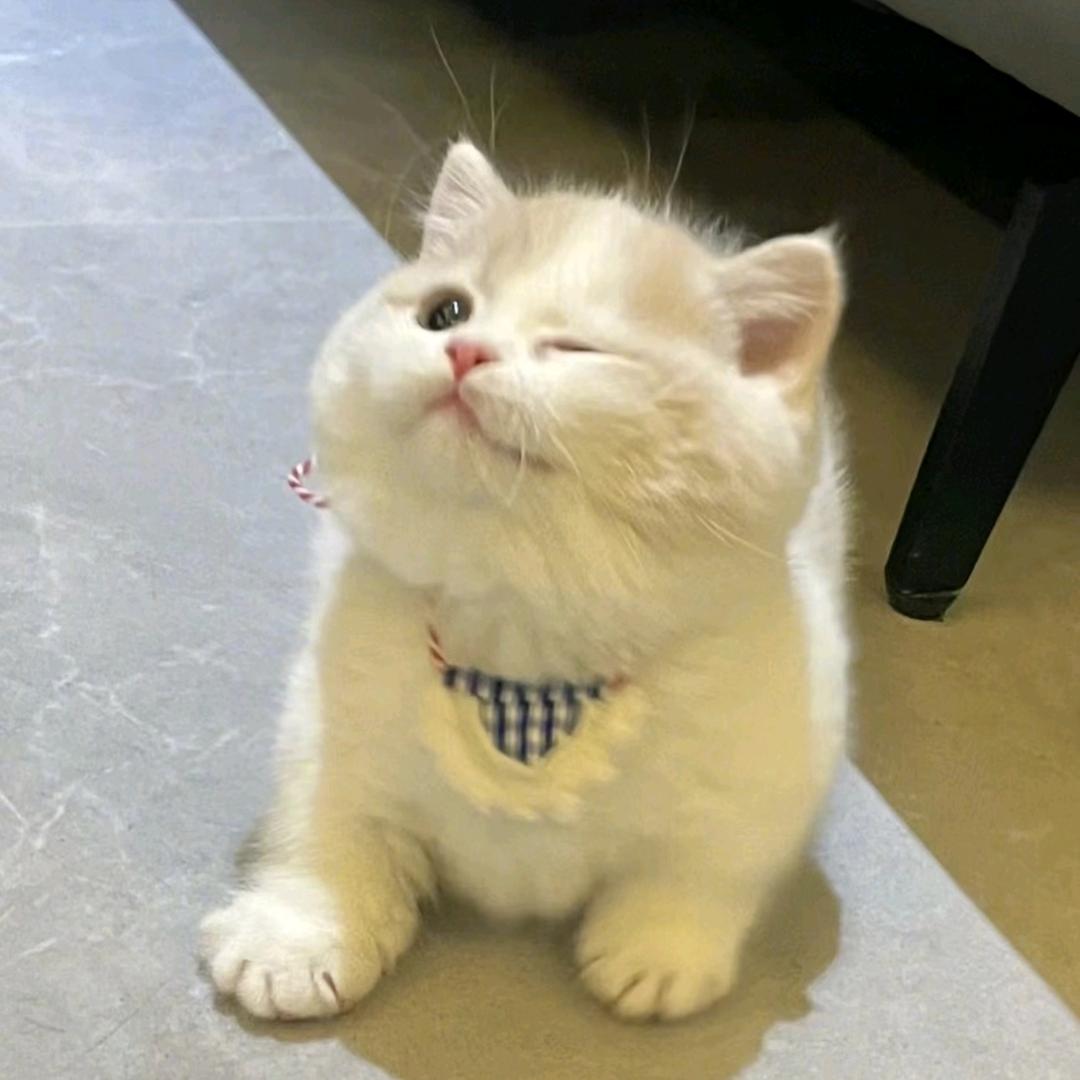 h.
